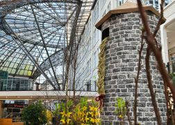 Fruehling In Der Goethe Galerie  Februar 2026 02